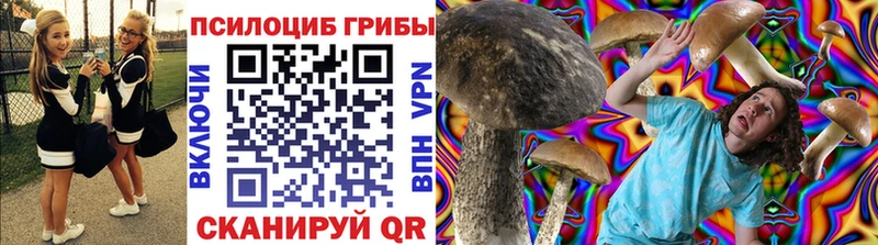 Купить  Анива  Галлюциногенные грибы прущие грибы 